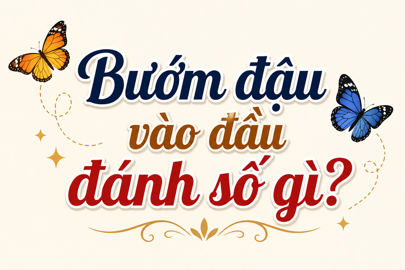 Bướm đậu vào đầu đánh các số 19 - 91, 09 - 90