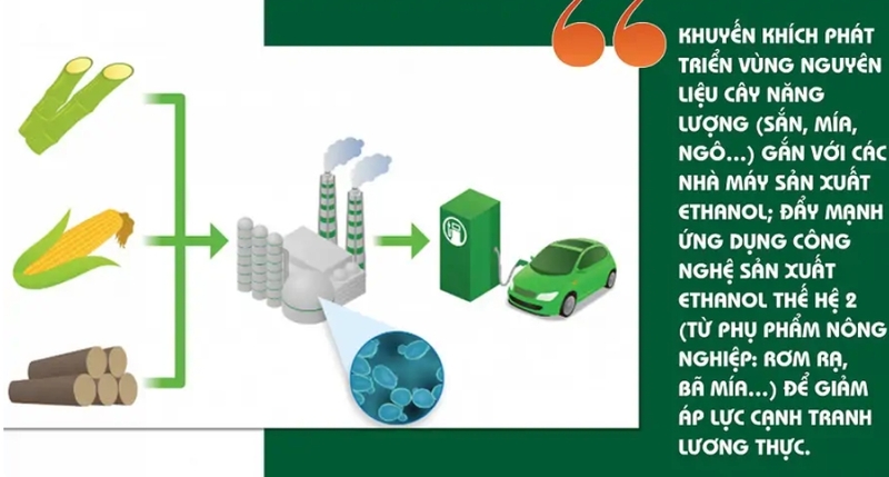 Xăng E10 được quan tâm vì có thành phần ethanol sinh học, góp phần đa dạng hóa nguồn nhiên liệu. 