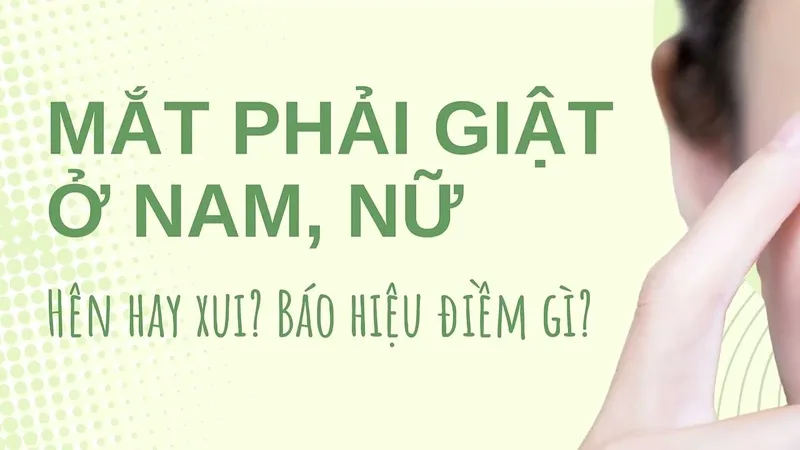 Mắt phải giật liên tục là hiện tượng khá phổ biến, có thể được nhìn nhận dưới cả góc độ dân gian lẫn sức khỏe để tránh lo lắng quá mức.