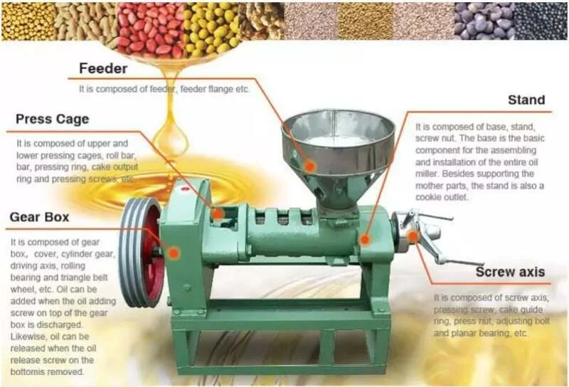 Với mức giá khoảng 25–40 triệu đồng, máy ép dầu công suất vừa là lựa chọn phù hợp cho hộ kinh doanh muốn ép dầu liên tục hơn.