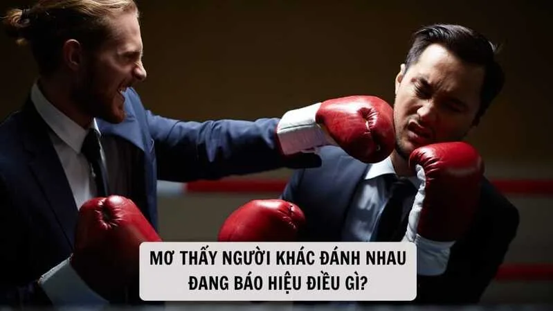 Mơ thấy người khác đánh nhau có thể cho thấy bạn đang chứng kiến hoặc bị ảnh hưởng bởi mâu thuẫn xung quanh